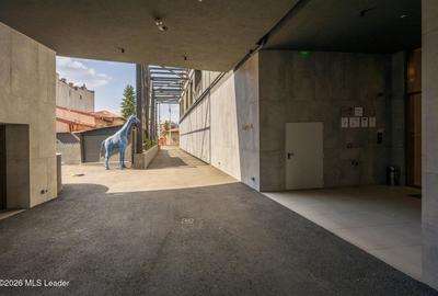 Penthouse | 274 mp | Stefan cel Mare | Viitorului 134 - 25