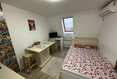 Apartament 1 camera la Mansarda - 6