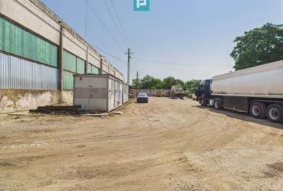 Complex industrial cu hale și teren  în Orțișoara - 15