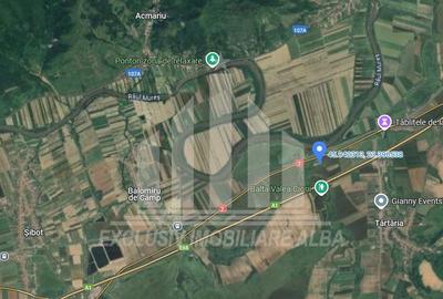 Teren agricol extravilan de 15800 mp, în Tărtăria