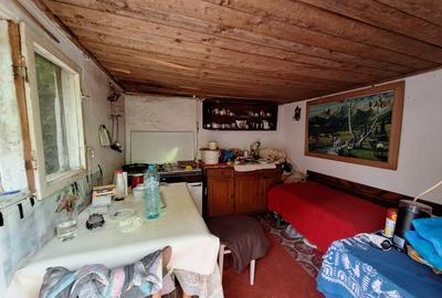 Casa tip duplex cu gradina generoasa-beci+bucatarie de vara+anexe –Zona Lunei - 12