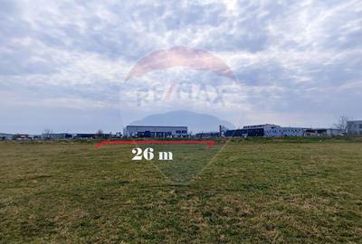 Teren de vanzare zona industriala Sura Mica - 1