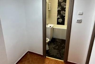 Apartament 3 Camere,Tineretului,Piata Norilor,DECOMANDAT,Amenajat,Liber - 4