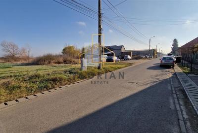 Teren Intravilan Construibil Giarmata-Vii  -str. Teilor-688 mp - 3