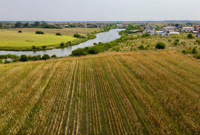 Oportunitate Investitie Teren 5.4HA  Deschidere la Lac, Padure, Paradisul Verde - 3