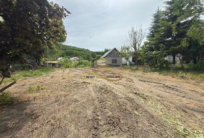 Casa cu teren intravilan 1234 mp,  Buhoci - 8