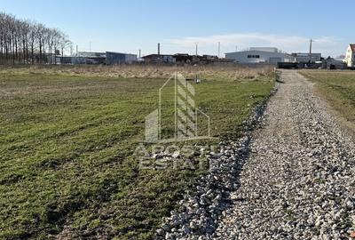 Teren pentru hala industriala, 1431 mp, Sagului- Ovidiu Cotrus - 1