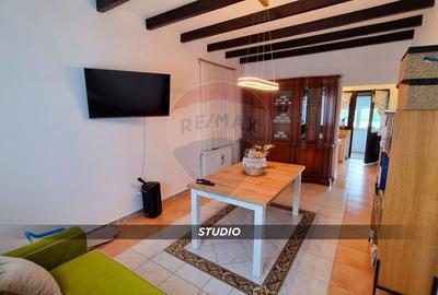 Casa noua in Bozanta 188m2 / 1000m2 teren si anexe ideala pt. familie - 29