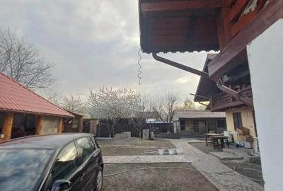 Casa - cadru natural de poveste, Al. cel Bun - 5