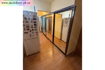 Apartament 3 camere de vanzare : 9 Mai-(Padina) - 9