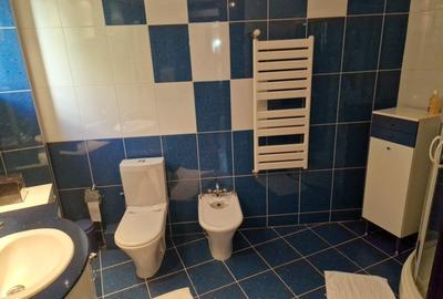 De Vanzare Vila Ultracentral Suceava - 13