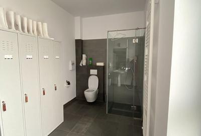 Spațiu Birouri Dumbrăvița - 5