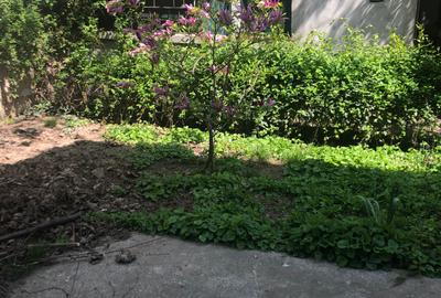 De vanzare casa curte comuna pe str Aurel Vlaicu 5 min Stefan cel Mare - 11