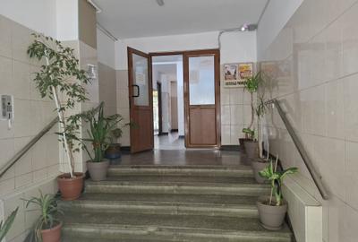 Crangasi - Ceahlăul cu balcon mare  si beci! - 7