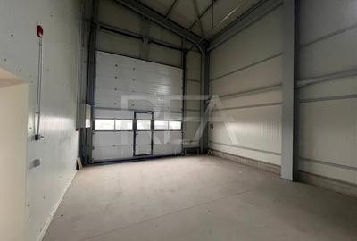 Hala de inchiriat in Domnesti / Centura - 4
