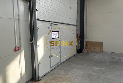 Spatiu industrial clasa A, centura Nord Vest, Chitila - 6