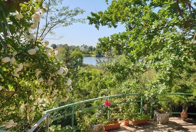 Snagov  Ultimul Refugiu la Lac: Proprietate Rara cu Priveliște de Poveste - 5