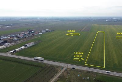 Teren intravilan 5.233 mp, D=16 ml, STRADA PRINCIPALA,zona ONASIS - 1