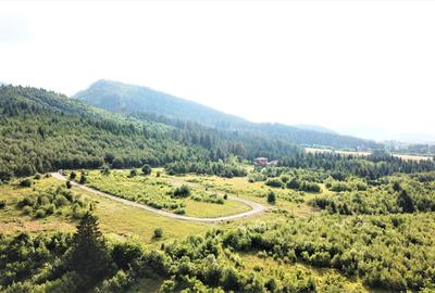 Parcele de vis cu utilități și panoramă impresionantă! - 5