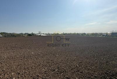 Teren Intravilan Joita, 6888 mp, utilitati, la asfalt, Comision 0% - 2