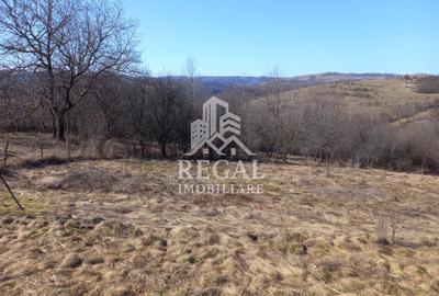 Două case de vânzare – Cerisor – teren generos 6996 mp - 13