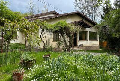 Locuinta de vacanta / rezidentiala - - 1