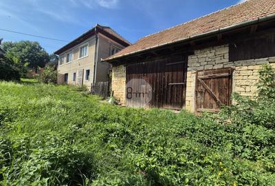 Casa Veche + Sura + Anexe | 70 mp utili | 3600 mp teren | Deusu - Chinteni ! - 1