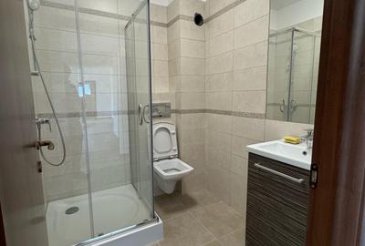 Penthouse de vanzare in Buna Ziua / Bonjour Residence - 9