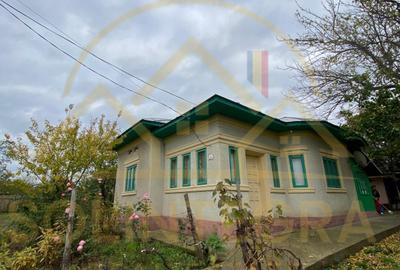 Întoarcerea în copilărie | 4 camere | Căsuța de la țară |  Boșneagu, Călărași | - 1