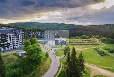 Loc de vis | Poiana Brasov-Silver Mountain - 22