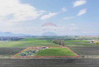 Teren intravilan 13.300 mp – Brașov | 0% COMISION - 8