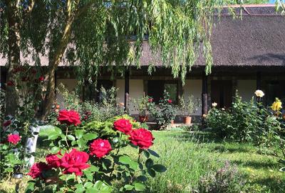 Pensiune agro-turistica in paradisul Deltei Dunarii - 4