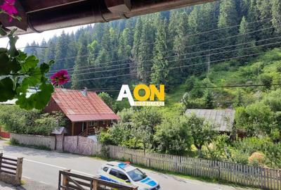 Pensiune in Muntii Apuseni 10 camere 1007 mp teren - 14