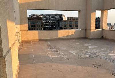 Oportunitate Unică Penthouse 4 Camere Grozavesti 322MP + 197 MP TERASA - 15