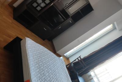 Garsoniera in Asmita Gardens - 2