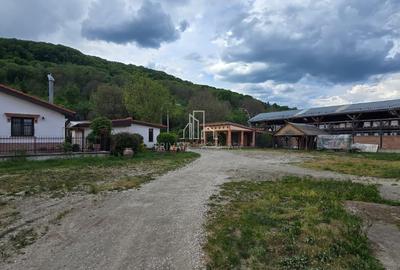 Teren + hale industriale 8785mp + casă–Oportunitate investiție / producție – - 31