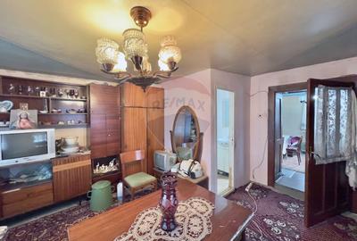 Casa cu 2 camere si teren 4887mp de vanzare in Dabaca - 13