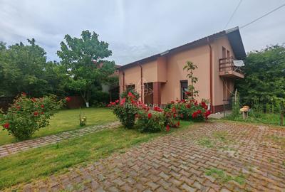 Casa de vanzare Adunatii Copaceni - pret imbatabil - 21