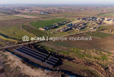 Teren 1.15 HA lângă Autostrada – Nădlac | clădiri+utilități - 4