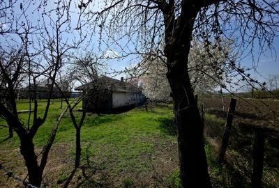 Spațiu industrial de 400mp de vânzare - 11