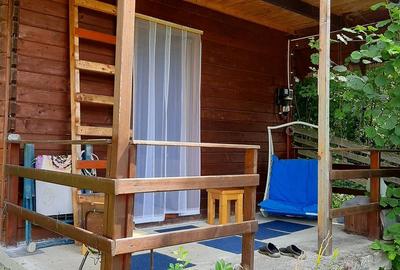 Proprietate pe Valea Vâlsanului – Cabane din lemn + Casă ecologică COB - 11