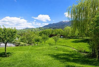 Pensiune:3 km de Castelul Bran, 2.900mp teren, aviz ISU, predare la cheie - 15