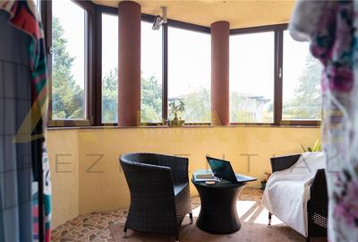 [OLTENITEI] Vila cu 7 camere - 325 MPU - Teren - 766 MP - 11
