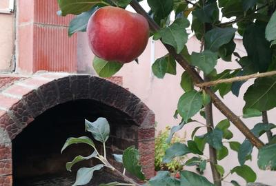 Bragadiru-Safirului Vila Individuala P+1+Pod An 2015 - 11