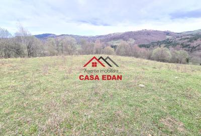 Teren extravilan Valea Doftanei 20.500 mp 6e mp - 3