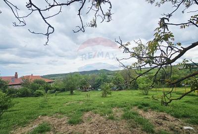 Teren 5,350mp Dobreni / Strada Manastirea Horaita - 12