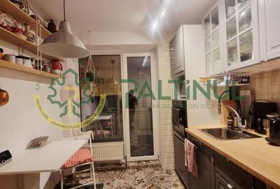 Apartament 2 camere cu balcon, renovat complet, Terezian - 8