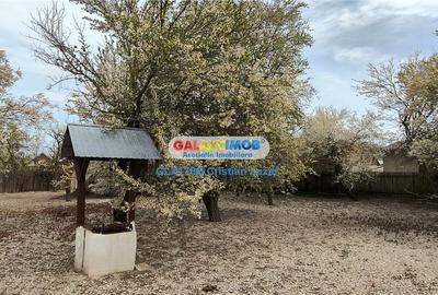 ORAS RACARI, SAT GHERGANI - 6