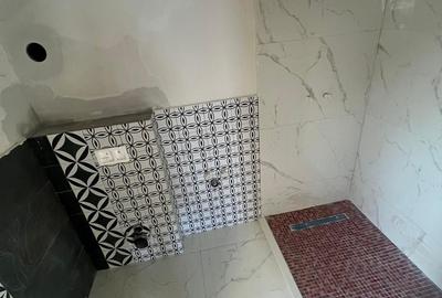 PENTHOUSE PE 2 NIVELE | 183 MP | ZAMCA | SUCEAVA - 3