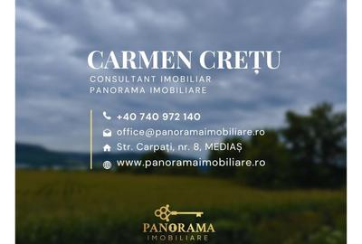 Teren intravilan de 8.000 mp – Oportunitate strategică lângă centura - 6